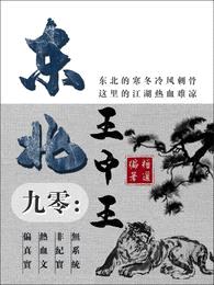 九零：东北王中王封面